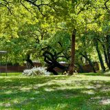 Maison 6 pièces / 200 m² / 1 200 000 € / LE PUY-SAINTE-REPARADE